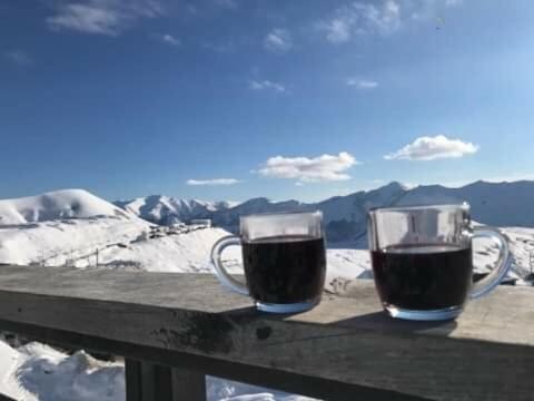Gudauri Ski Studio Exteriér fotografie
